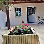 Lemon Tree Courtyard *
