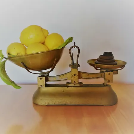 펜션 Lemon Tree Courtyard 라르나카