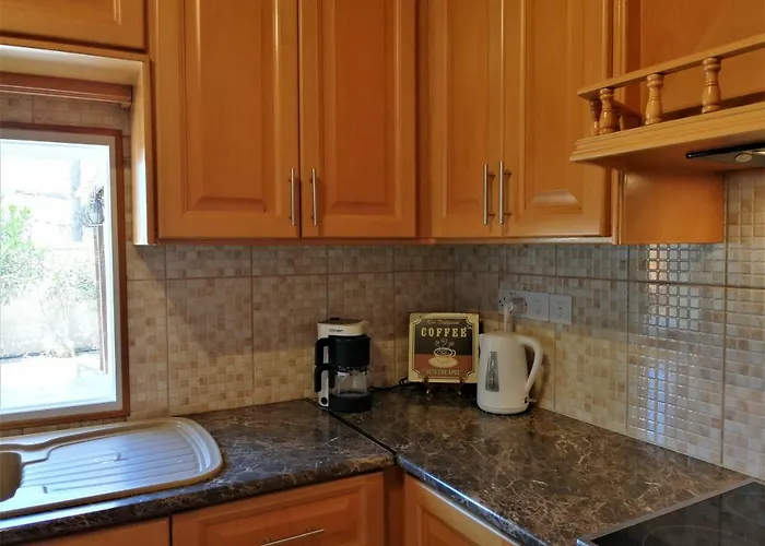 Lemon Tree Courtyard