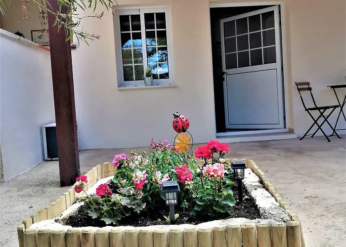 Lemon Tree Courtyard *