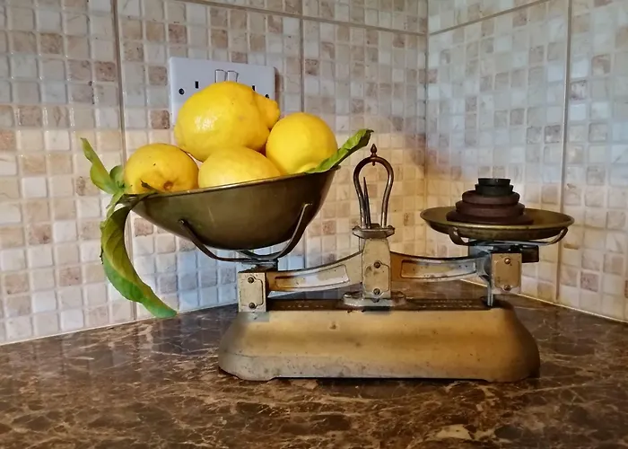 Lemon Tree Courtyard *