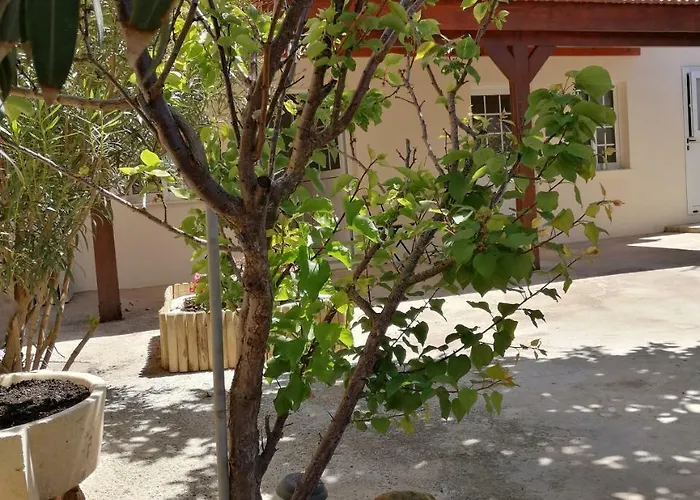 Lemon Tree Courtyard Ларнака