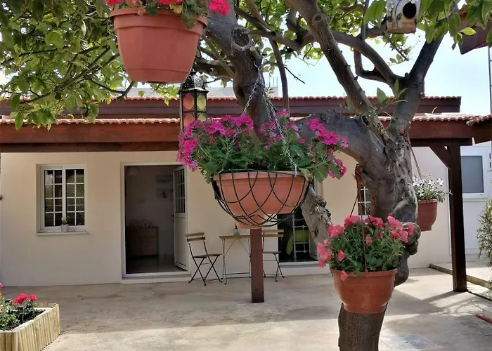 Lemon Tree Courtyard Case de vacanță