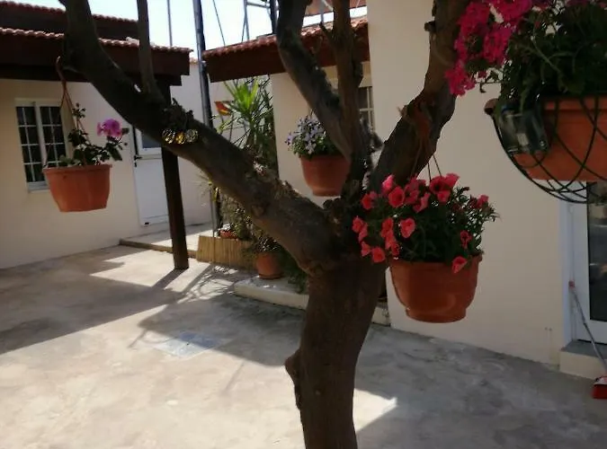 Lemon Tree Courtyard * Ларнака