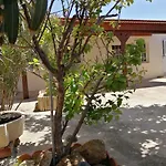 Lemon Tree Courtyard Lárnaca
