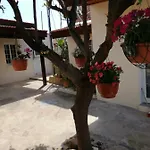 Lemon Tree Courtyard * لارنكا