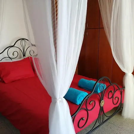 펜션 Lemon Tree Courtyard *
