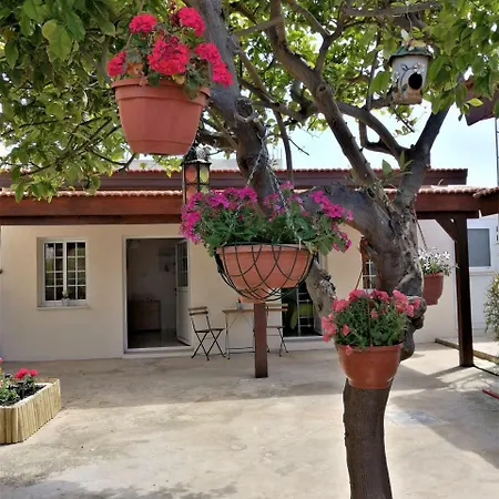 Lemon Tree Courtyard 펜션