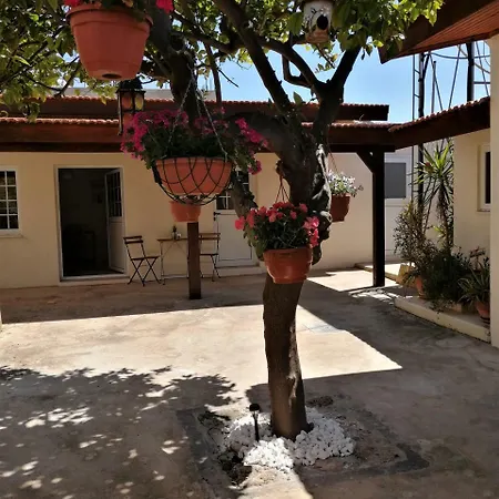 Lemon Tree Courtyard 펜션 *