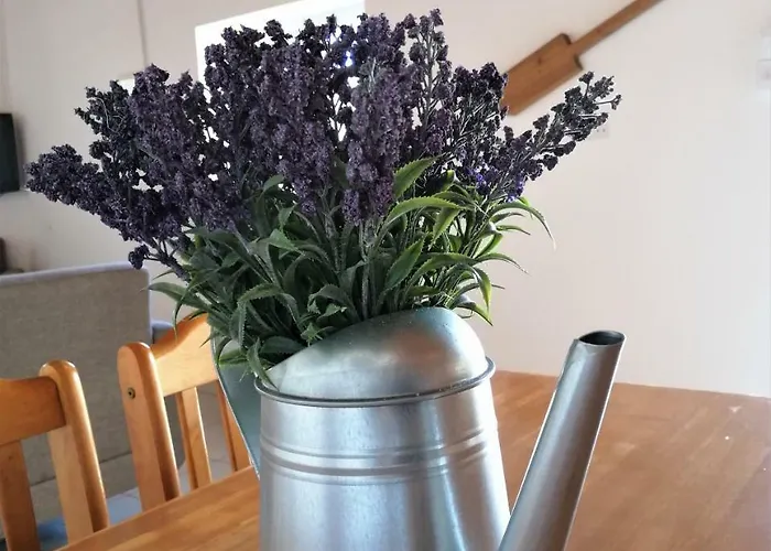 Lemon Tree Courtyard