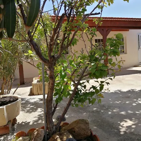 Lemon Tree Courtyard Λάρνακα