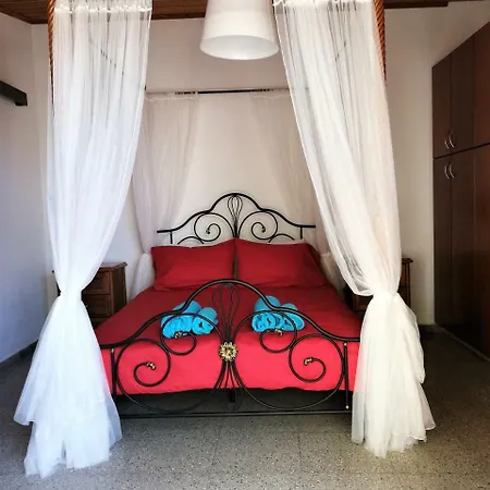 Lemon Tree Courtyard